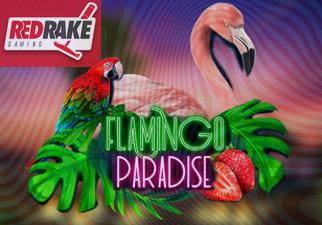 Flamingo Paradise